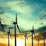 Among its uses, ABC's updated Wind Risk Assessment Map can help companies avoid siting wind energy facilities in high-collision-risk areas where birds concentrate. Photo by majeczka/Shutterstock