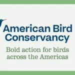 American Bird Conservancy Flying High at 30