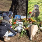 Poisoning by Rodenticide Played a Part in Flaco the Owl's Death