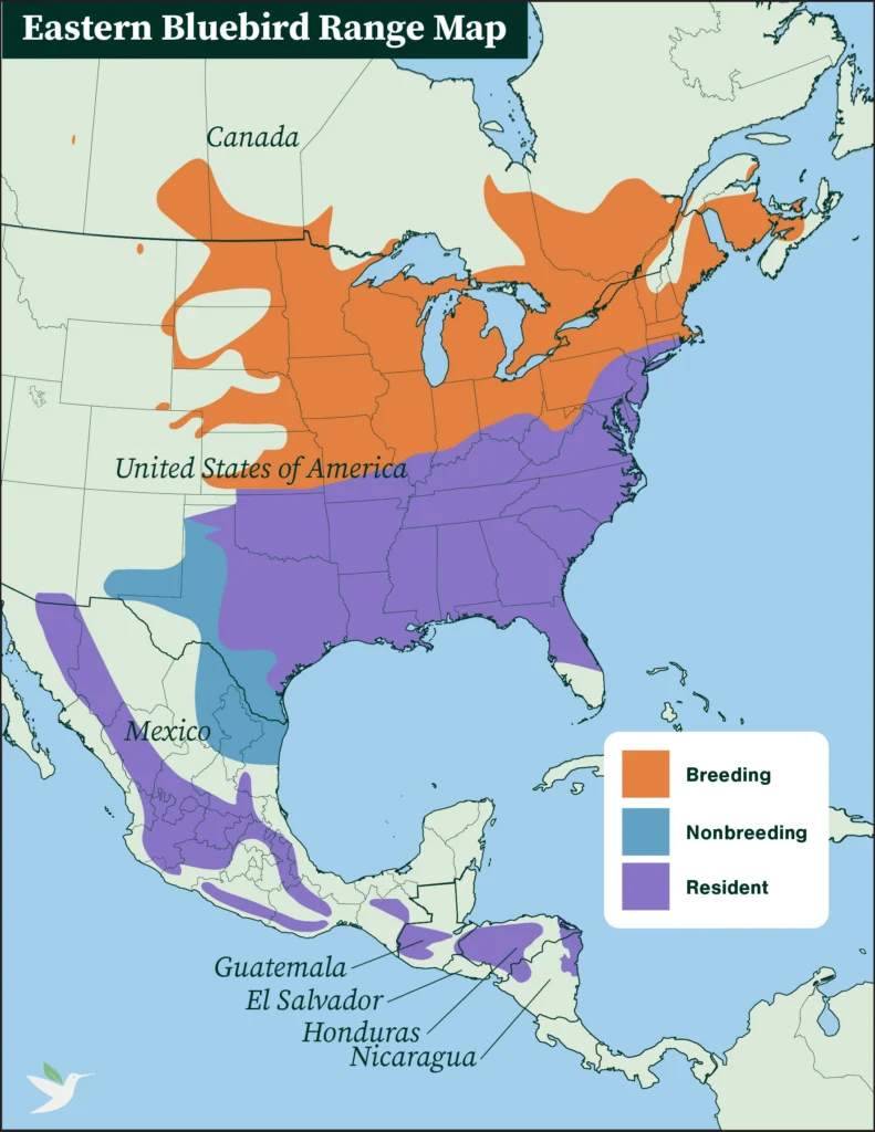 Eastern Bluebird range map
