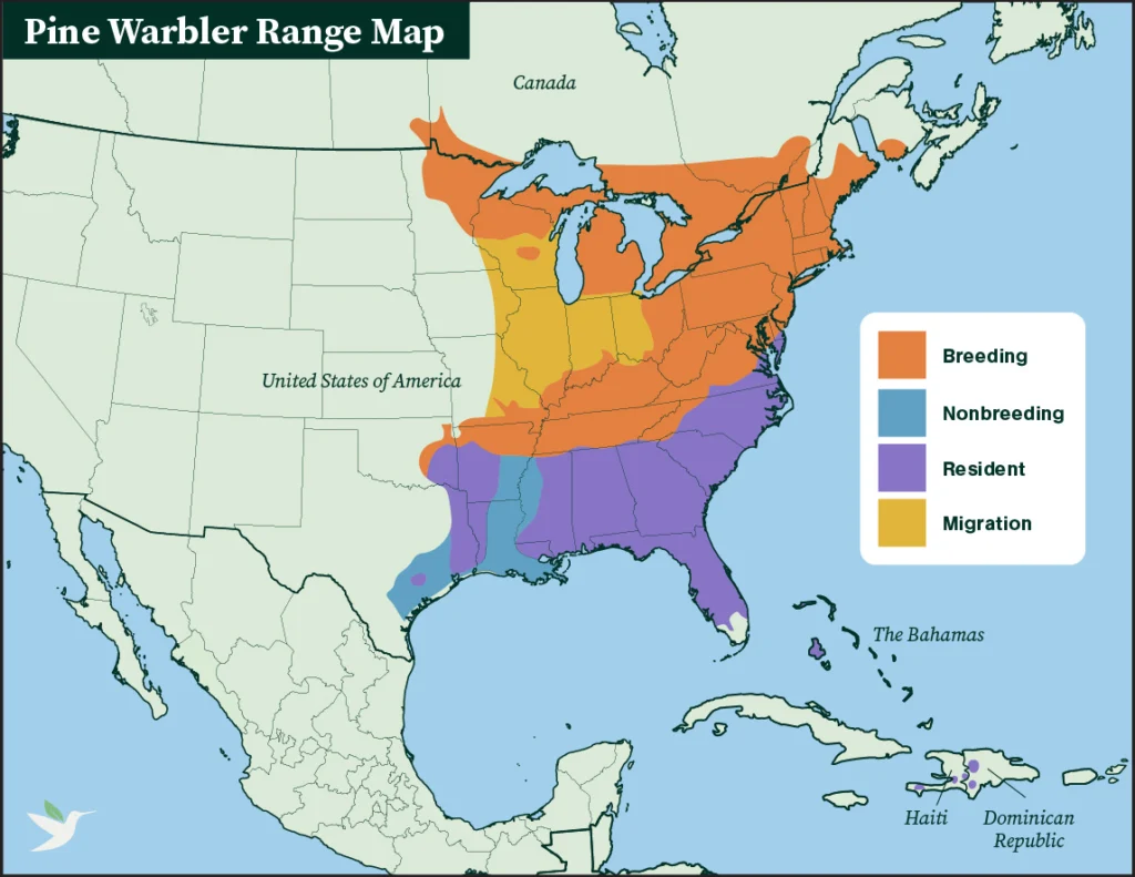 Pine Warbler range map.