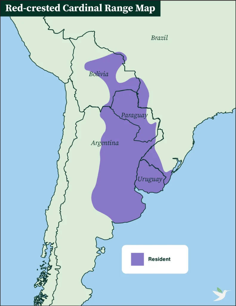 Red-crested Cardinal range map by ABC
