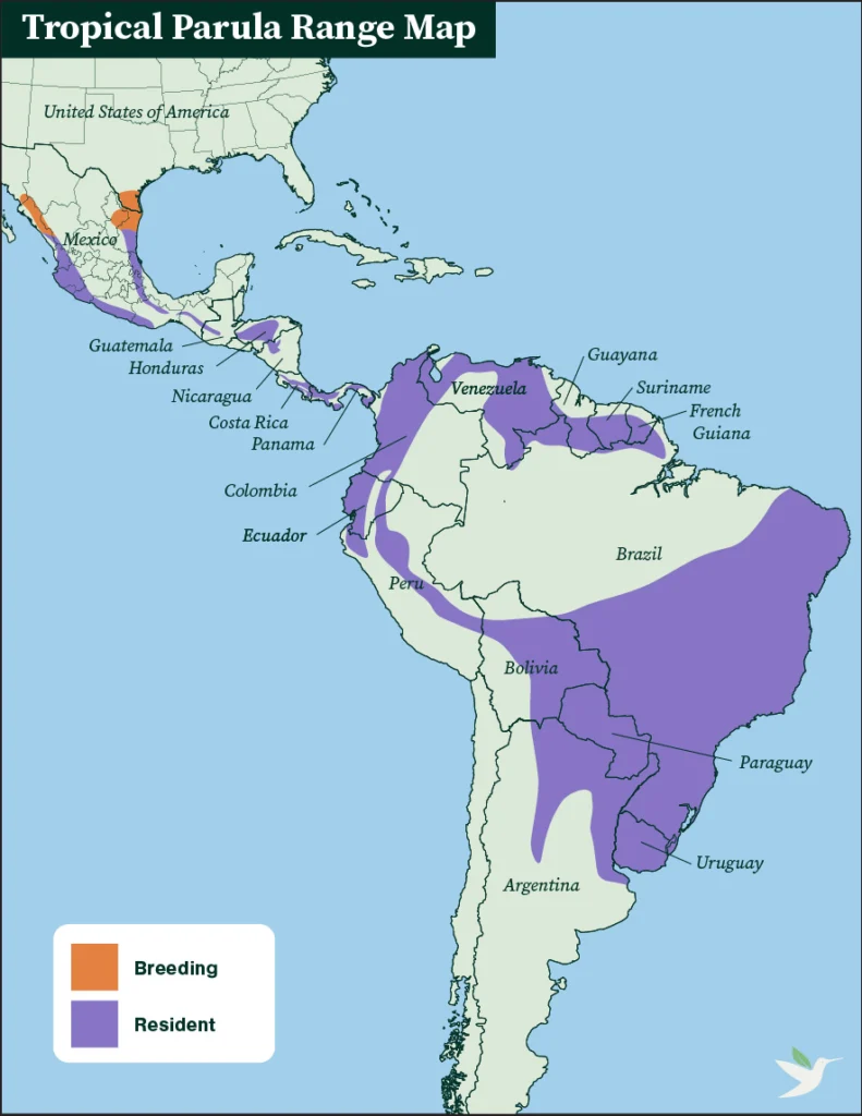 Tropical Parula range map.
