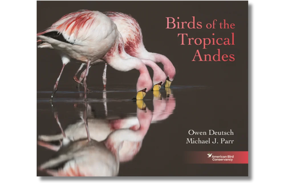 Birds of the Andes Book Cover - A group of flamingos drink water with their reflections showing. Photo by Owen Deutch.