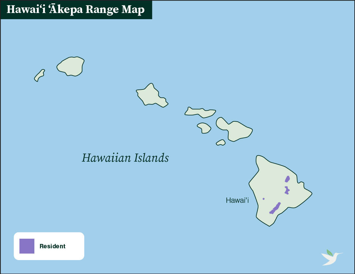 Hawaiʻi ʻĀkepa range map by ABC
