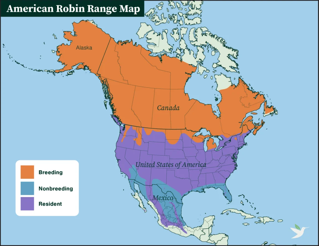 American Robin range map