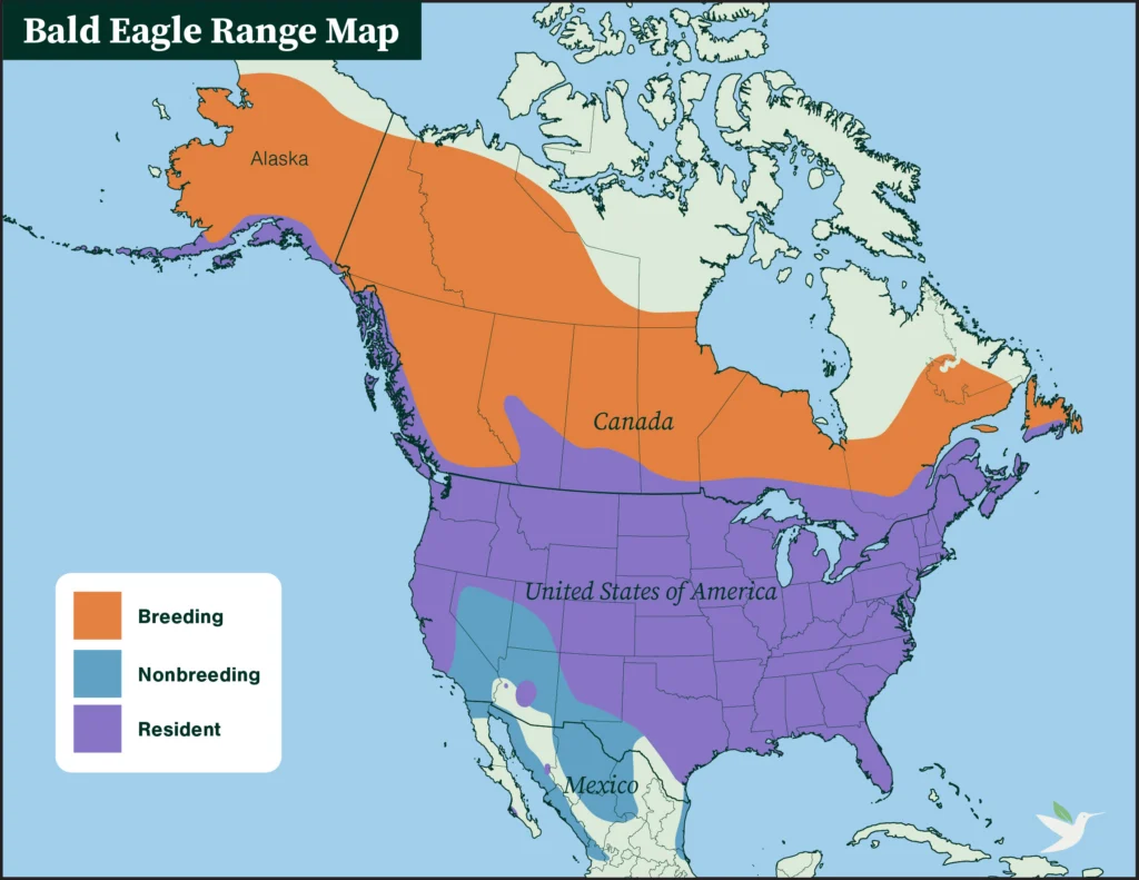 Bald Eagle range map.