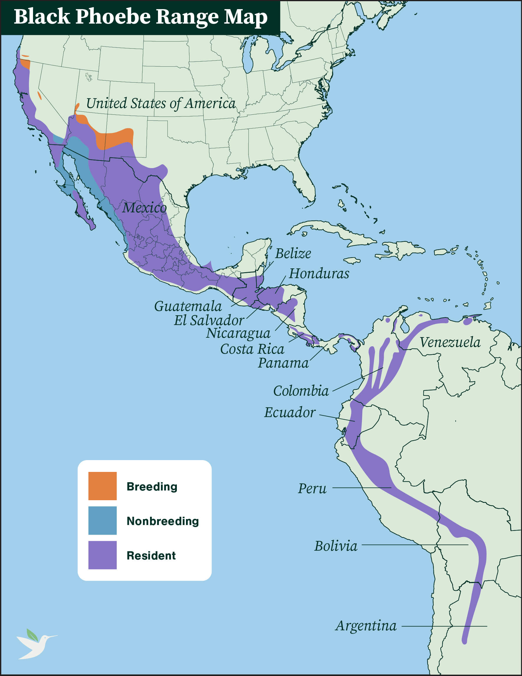 Black Phoebe range map by ABC