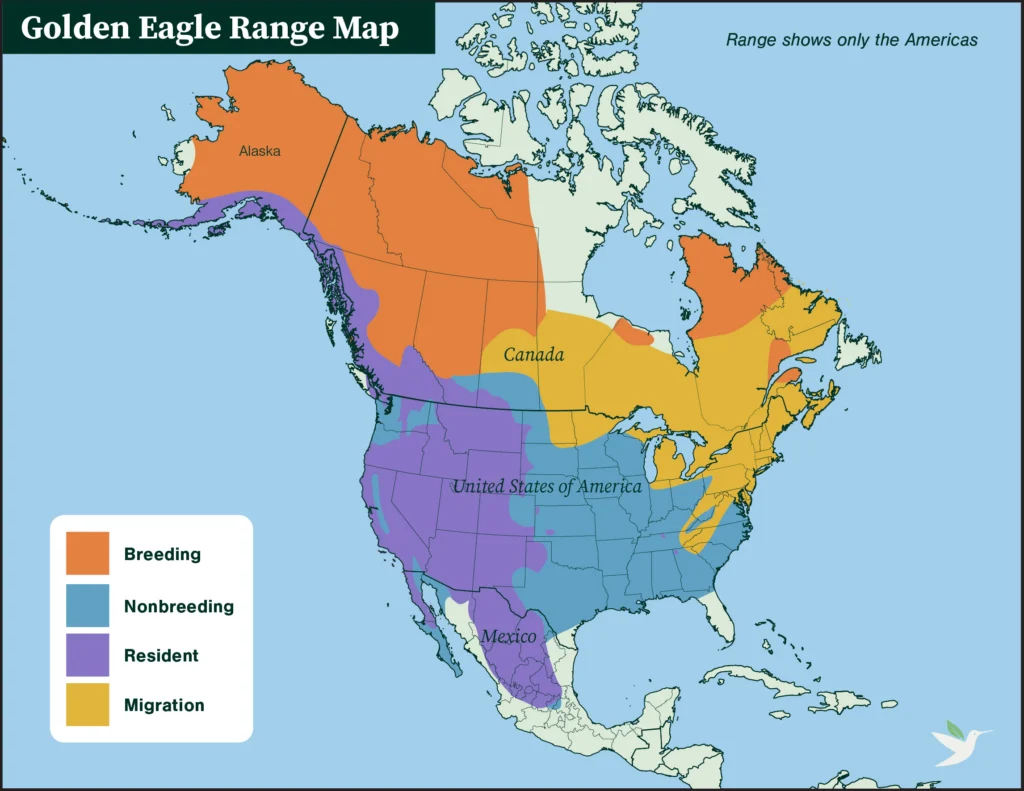 Golden Eagle range map
