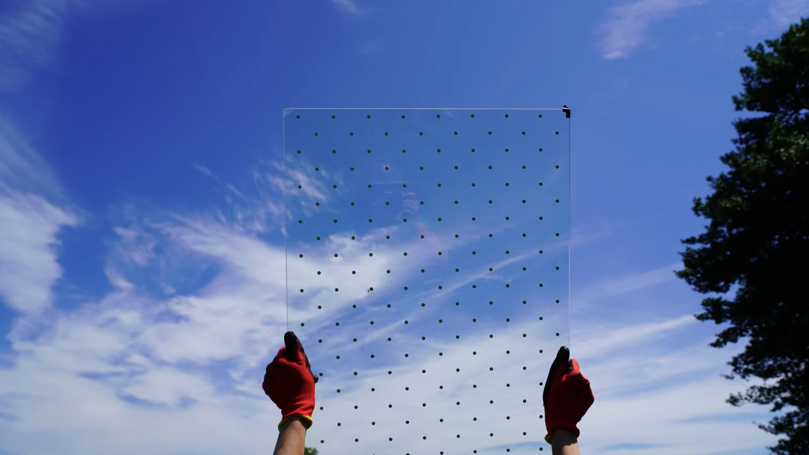 Glass treated with a bird-friendly pattern is held up with the sky as a background. Glass patterns are tested at ABC's testing tunnels.