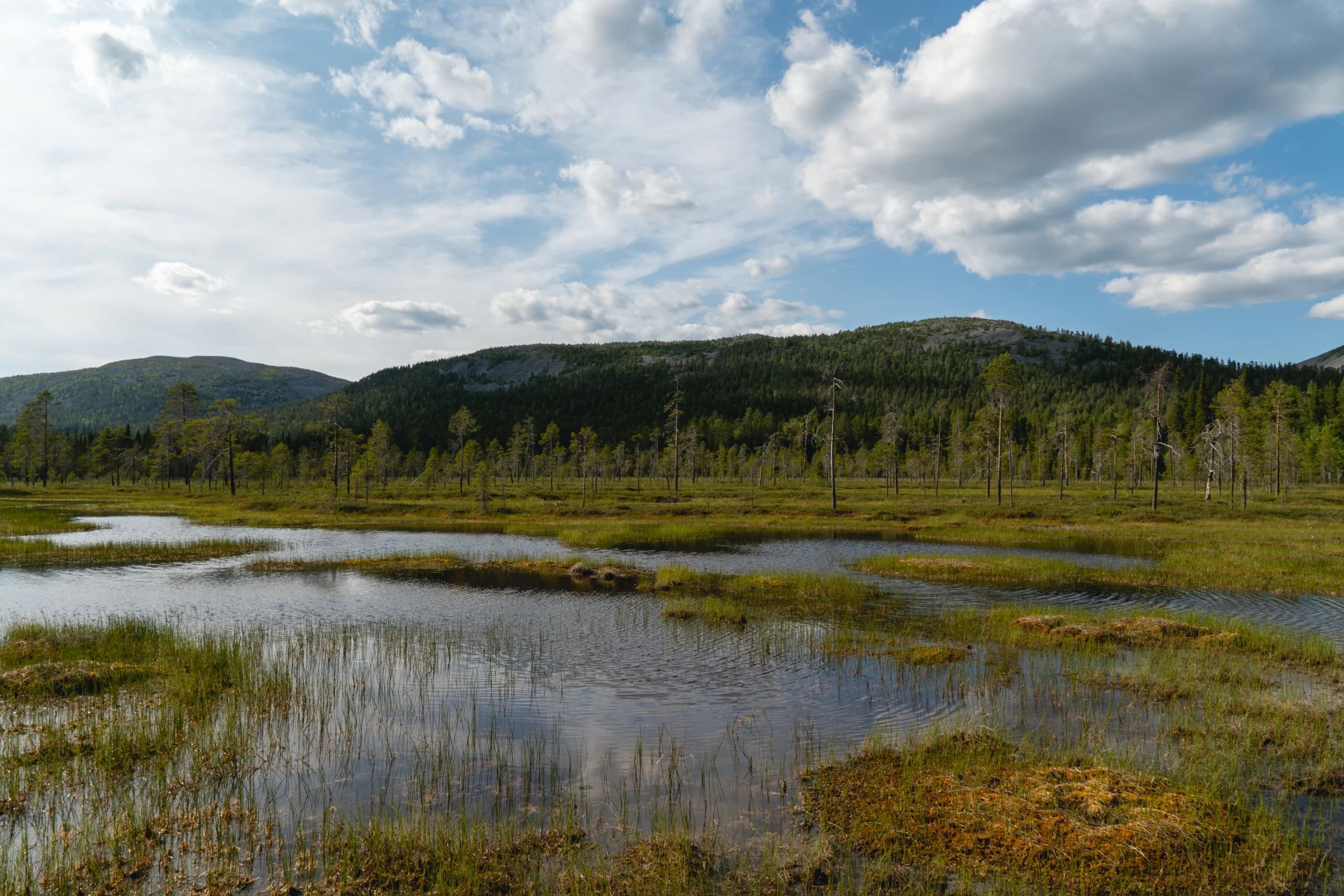 Arctic Tundra Landscape with Marshland. Photo by Bauwimauwi, Shutterstock.