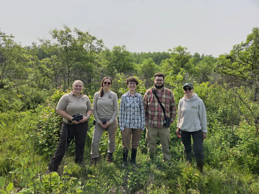 Alisha Haken, Deputy Project Leader, USFWS Tamarac NWR; Danica Maloney, Forest Ecologist, USFWS Tamarac NWR; Emilia Skogen, ABC Public Lands Conservation Forester; Eamonn Thurmond, ABC Public Lands Conservation Forester; Grace Rau, ABC Invasive Species Coordinator. Photo by Peter Dieser.