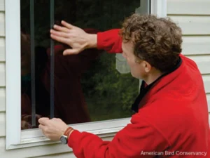 A man holds a clear decal on a window to install bird-friendly production.