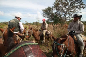 Field inspectors ride horses to oversee reserves managed by Asociación Armonía, a Bolivian nonprofit supported by LARSI. Photo by Tjalle Boorsma/Asociación Armonía.