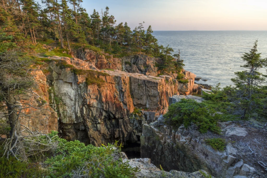 A rocky outcrop covered with evergreen trees with the Atlantic Ocean in the background.