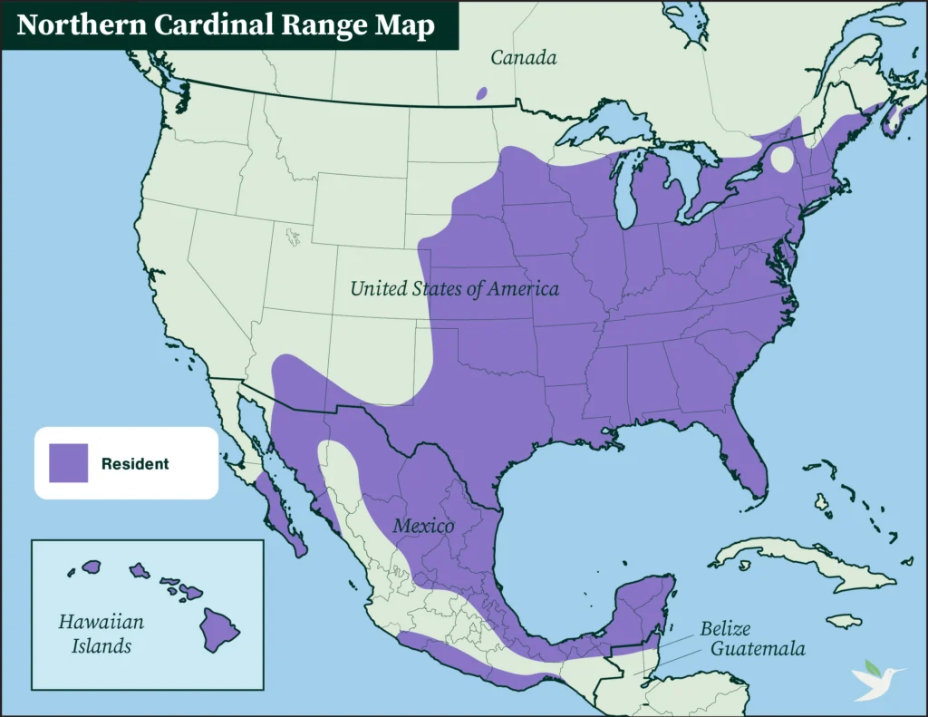 Northern Cardinal range map.
