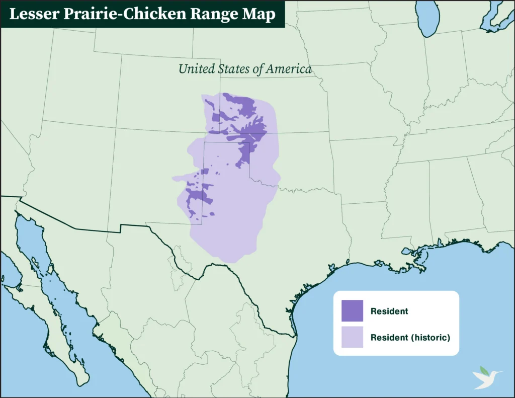 Lesser Prairie-Chicken range map