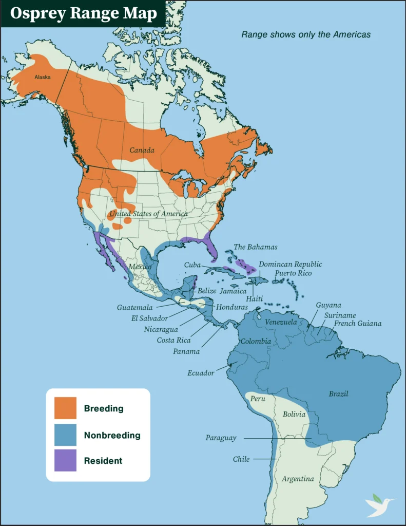 Osprey range map