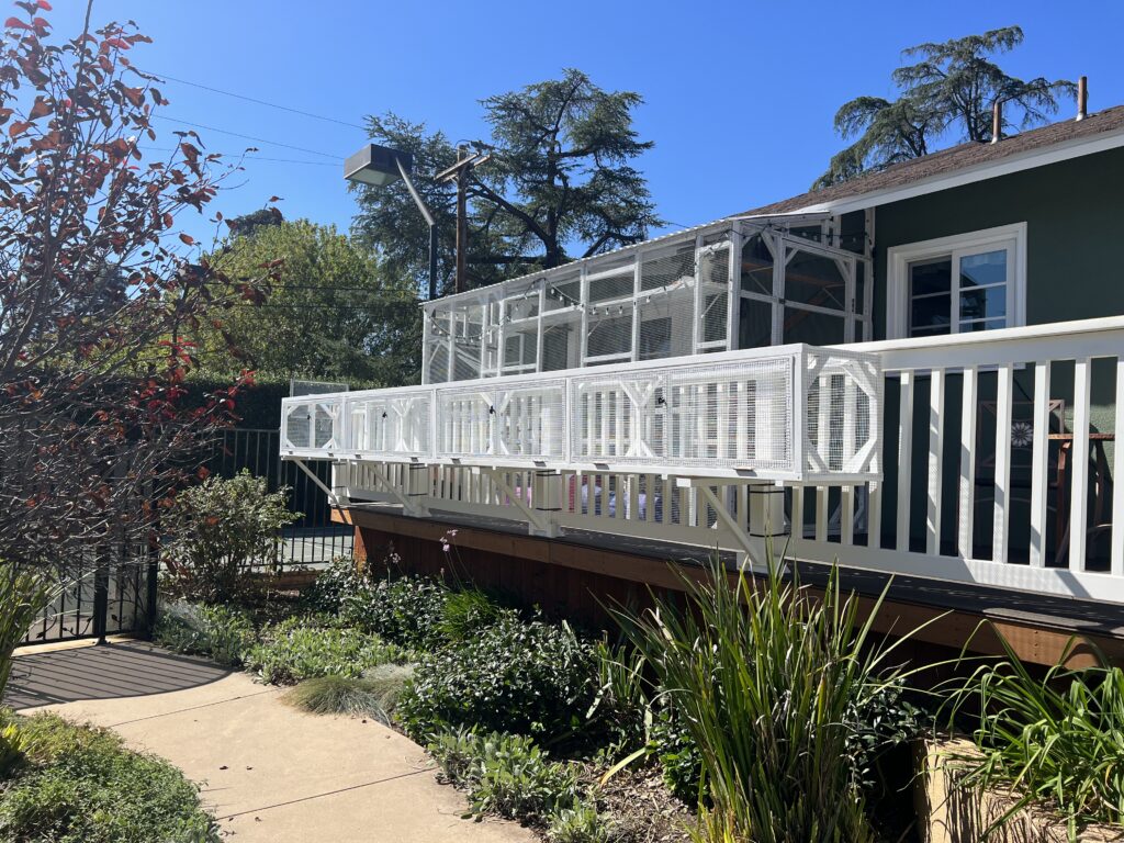 Darcie and Koda have access to a custom catio. Photo by Danielle Fradet.