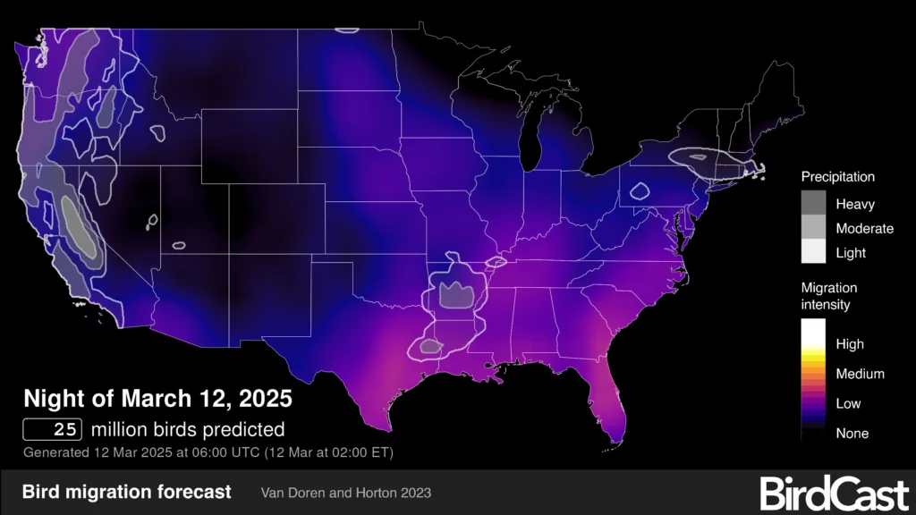 BirdCast.info provides detailed migration predictions with regular updates. Image by BirdCast, Cornell Lab of Ornithology, and Colorado State University.