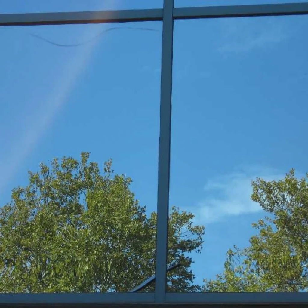 Figure 2: The mullions and crack are cues that this must be glass.