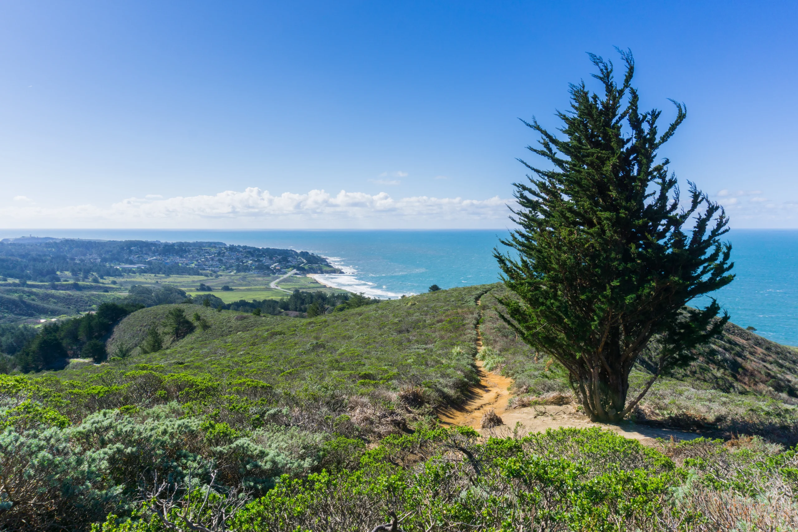 Montara Mountain, California. Photo by Sundry Photography, Shutterstock.