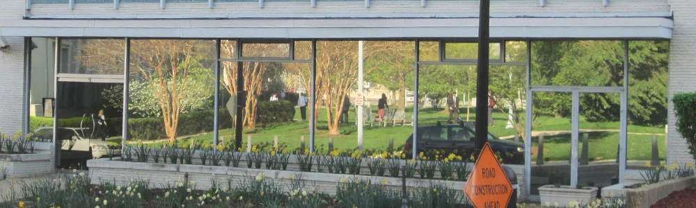 Vegetation reflect in glass. Christine Sheppard.