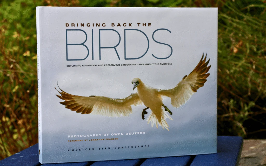 Bringing Back the Birds Book