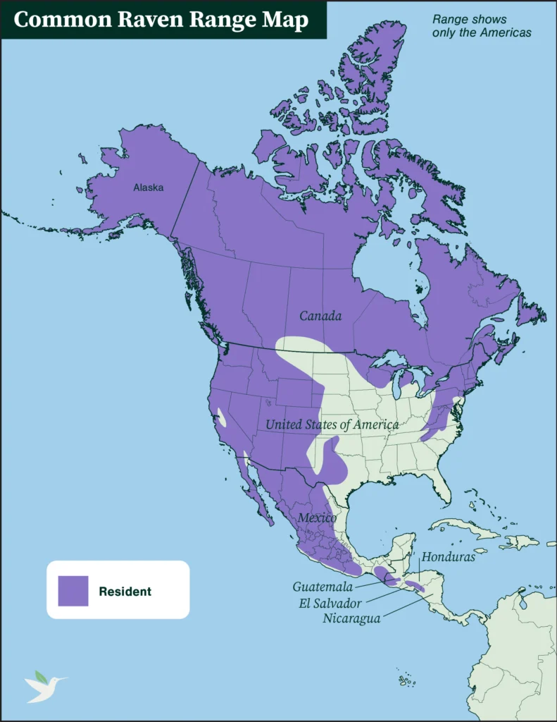 Common Raven range map