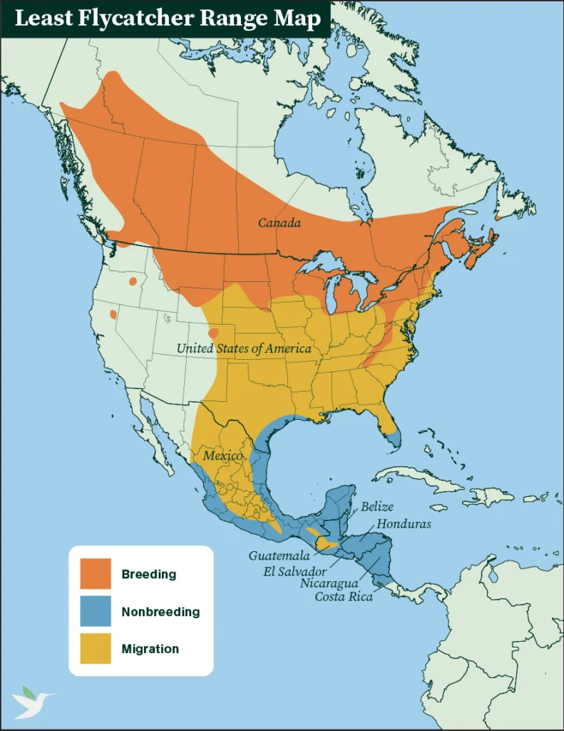 Least Flycatcher range map