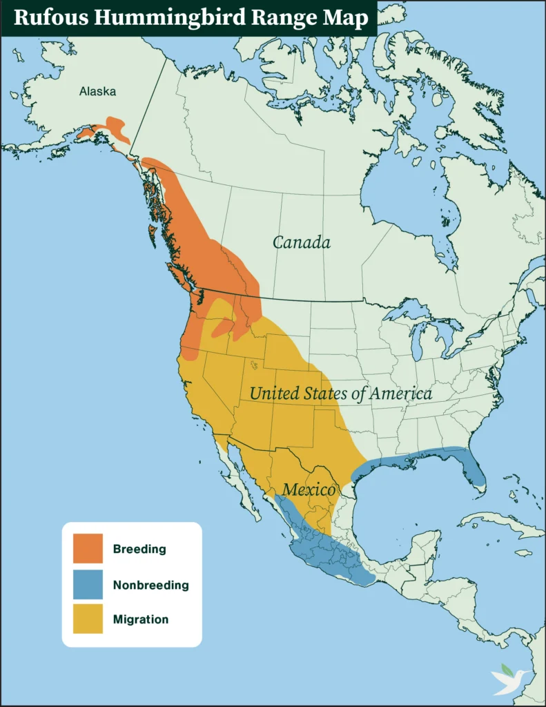 Rufous Hummingbird range map