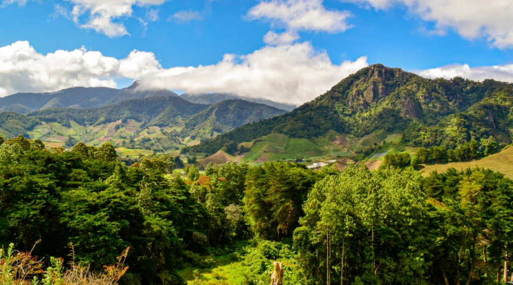 Cerro Punta, Chiriqui, Panama by Cesar Aleman from Getty Images