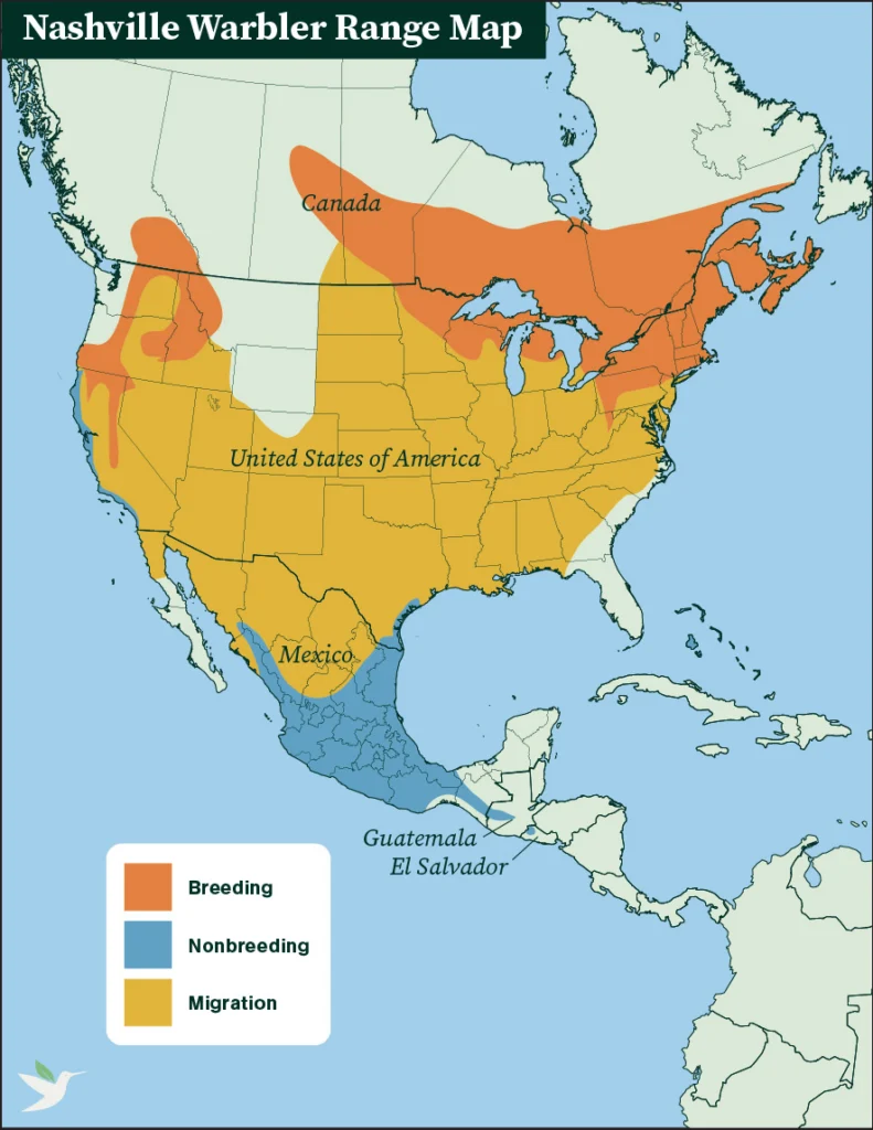 Nashville Warbler range map