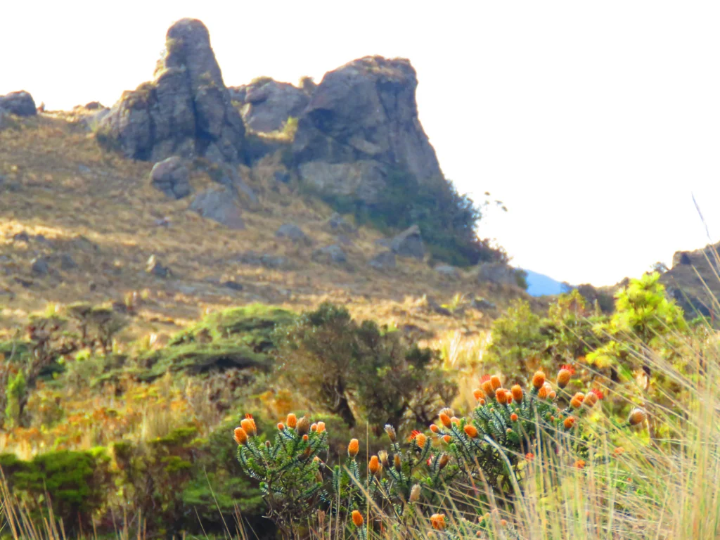 Cerro de Arcos. Photo by Michael Moens.
