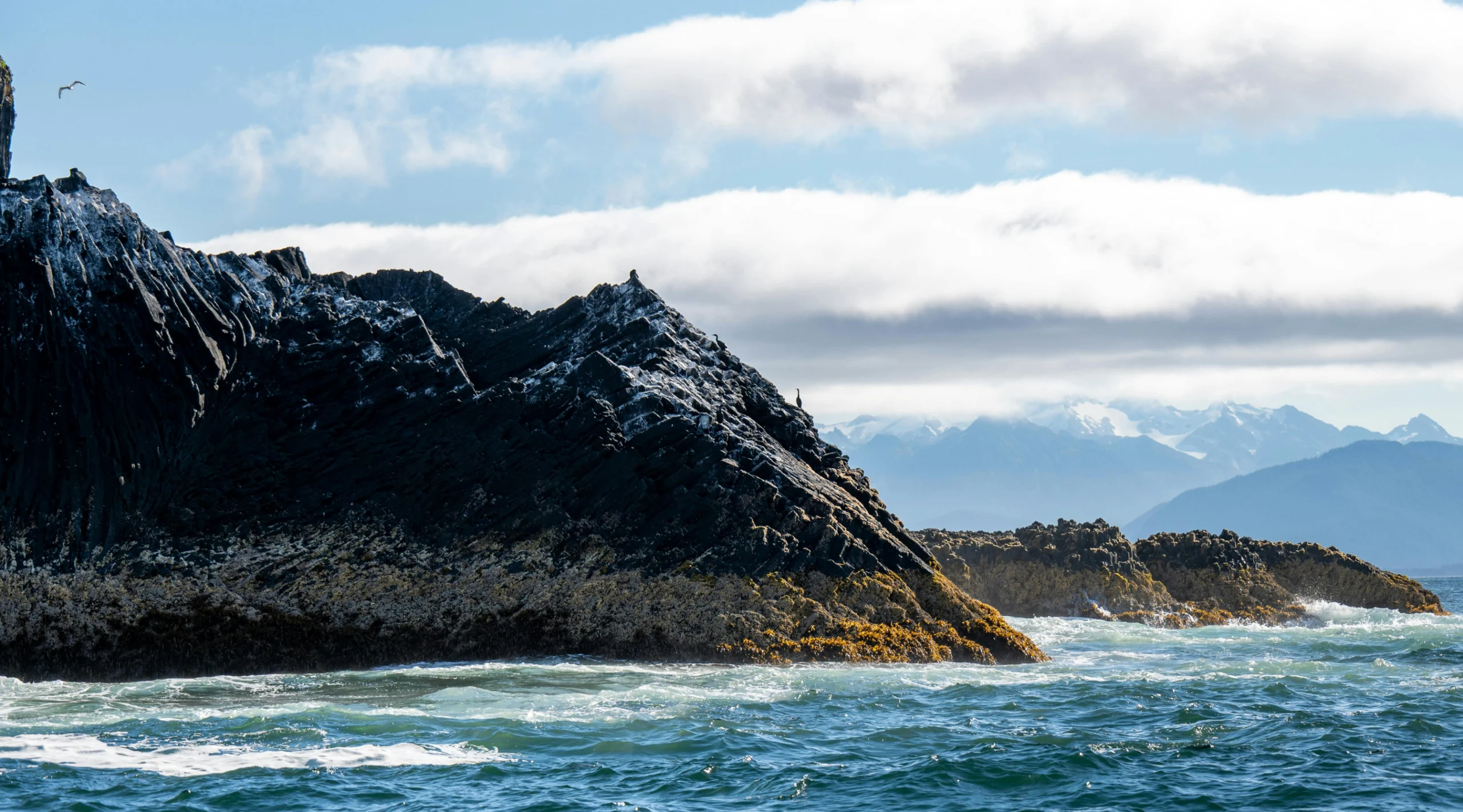 Coastline of Sitka, Alaska. Photo by Beth Fitzpatrick, Pexels
