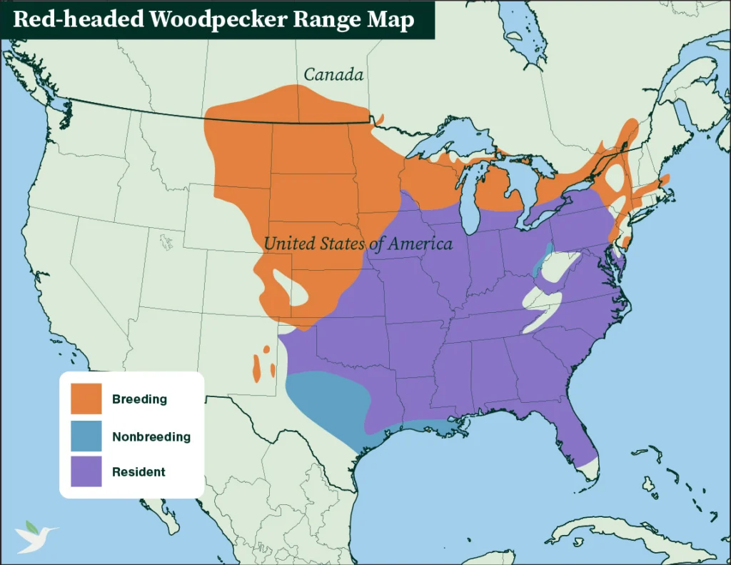 Red-headed Woodpecker range map.