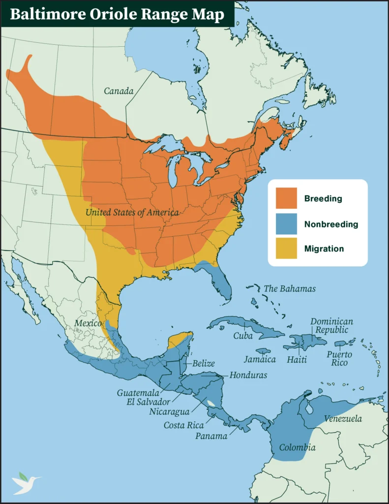 Baltimore Oriole range map