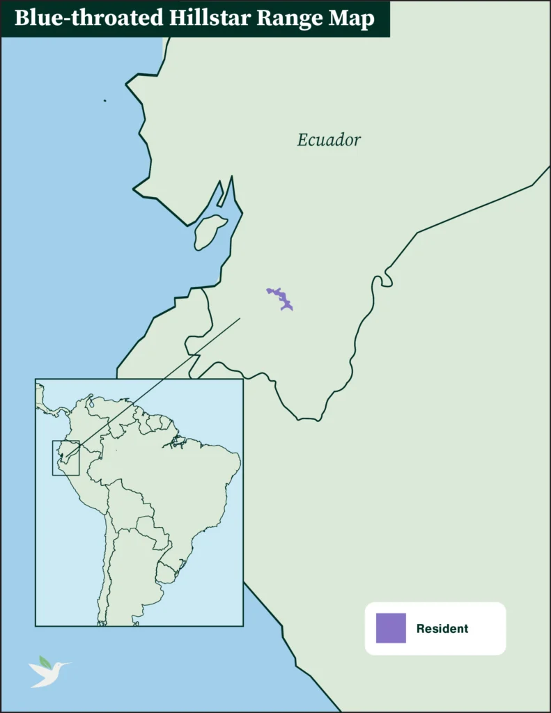 Blue-throated Hillstar range map