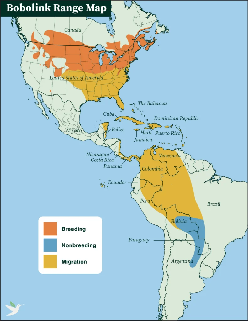 Bobolink range map by ABC