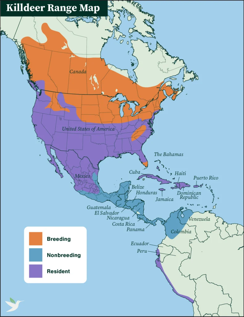 Killdeer range map