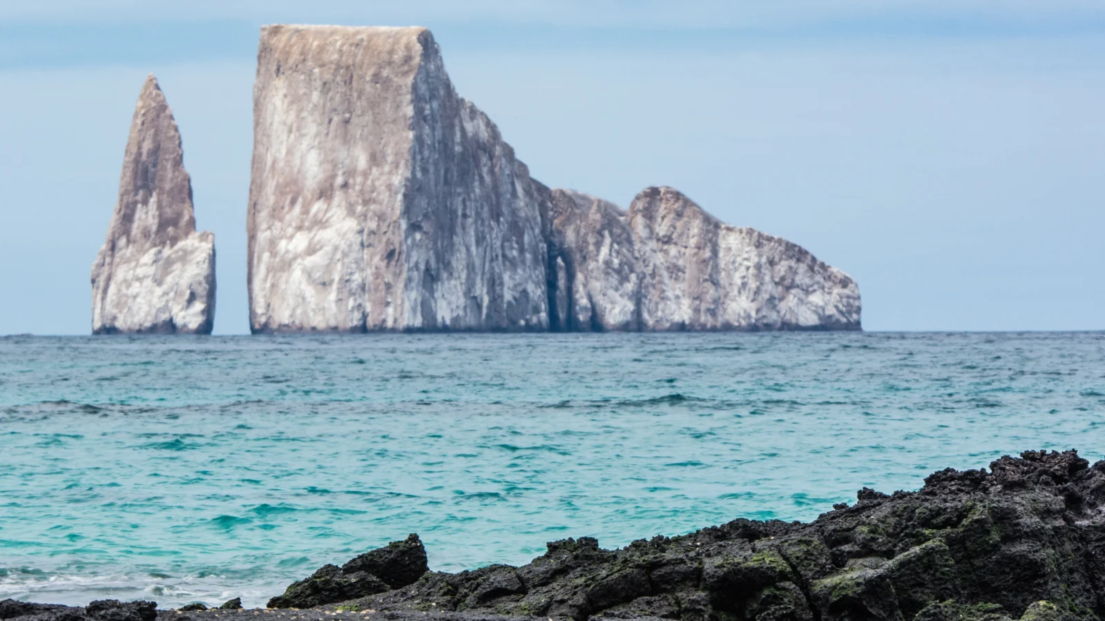 Gapapagos Island. Photo by Drosera74, pixabay.