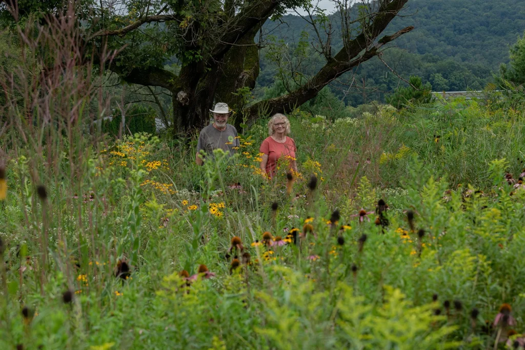 Tom Lukens and Pam Saunders stand in a restored riparian area surrounded by native flowers. They have restored 87 acres in Wisconsin.