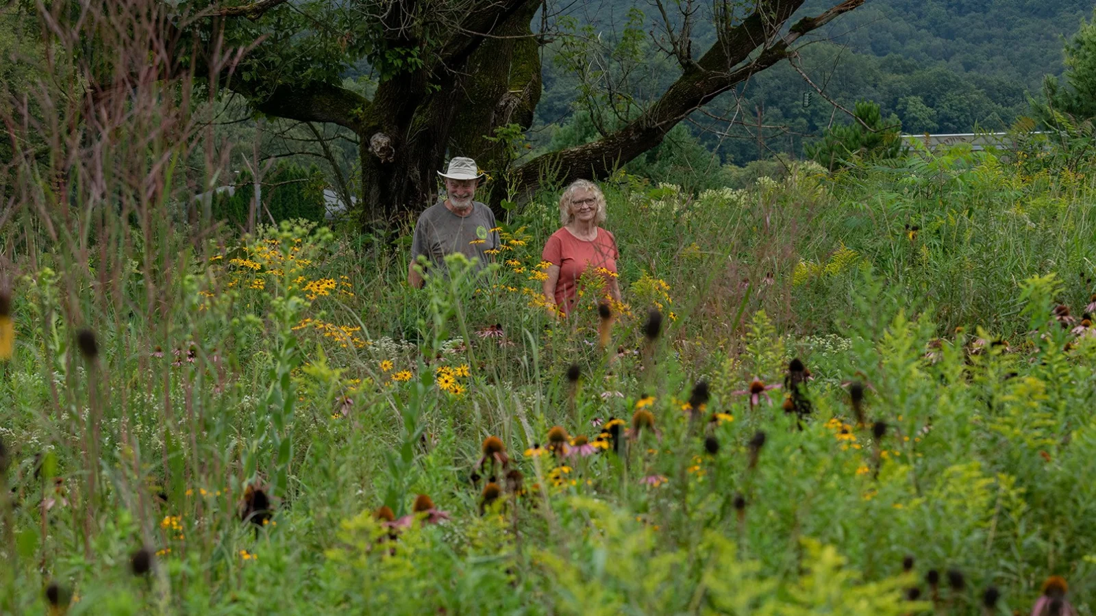 Tom Lukens and Pam Saunders stand in a restored riparian area surrounded by native flowers. They have restored 87 acres in Wisconsin.
