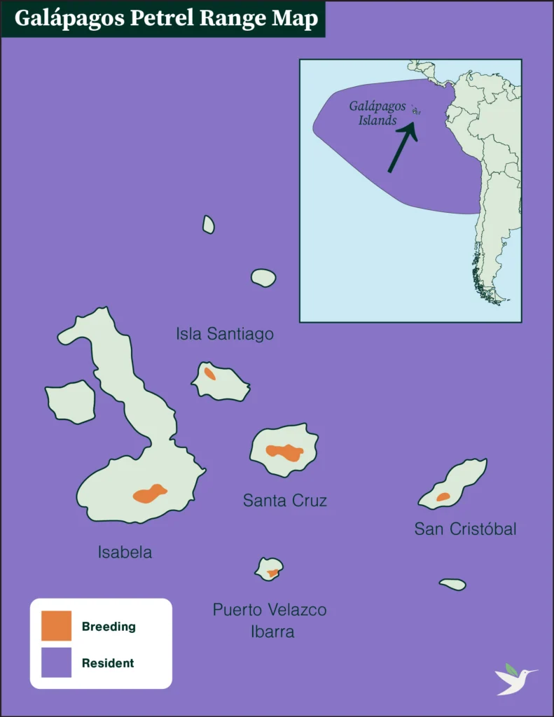 Galapagos Petrel range map.