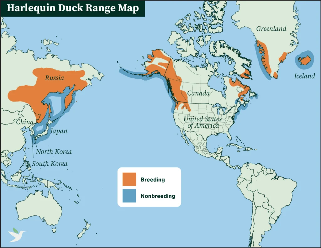 Harlequin Duck range map by ABC.