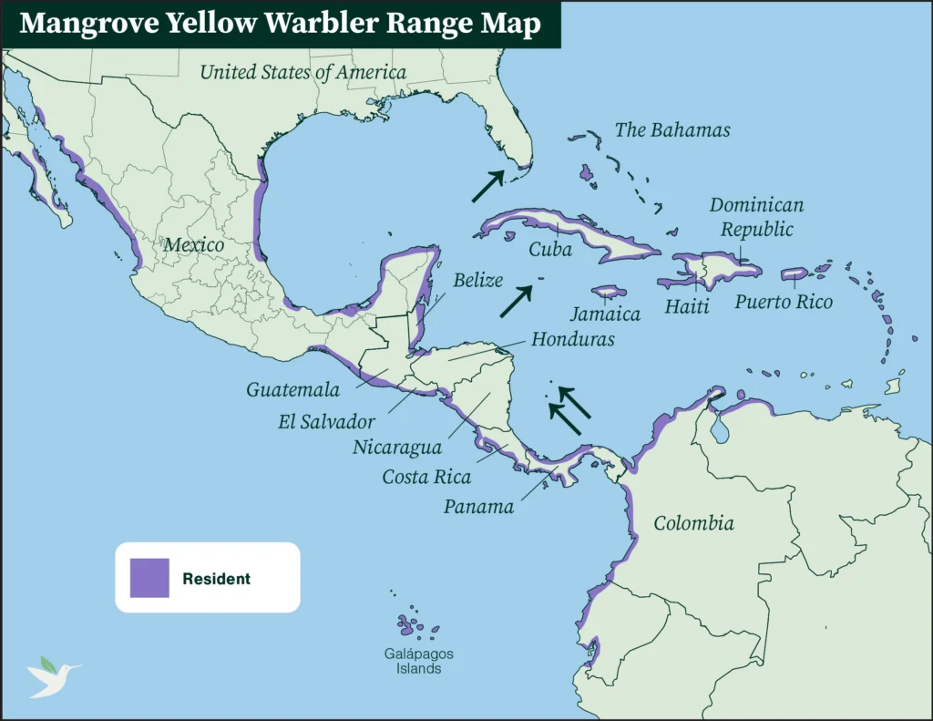 Mangrove Yellow Warbler range map.