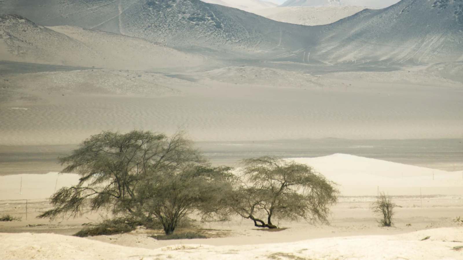 Peruvian desert. Photo by manx_in_the_world, Getty Images Signature