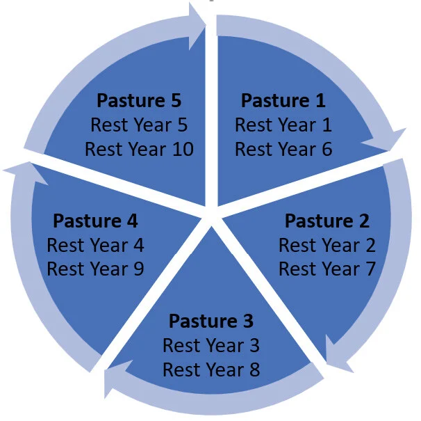 Example of a 10-year contract and cycle for RCP.