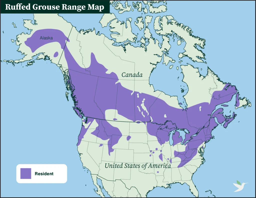 Ruffed Grouse range map by ABC.