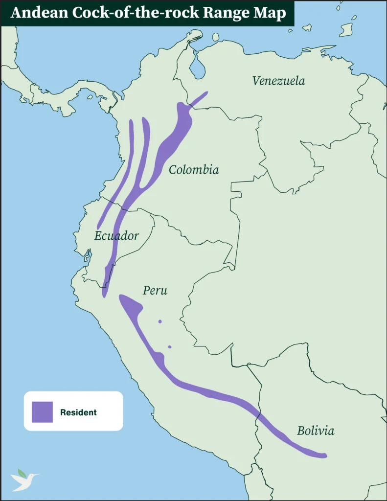 Andean Cock-of-the-rock range map.